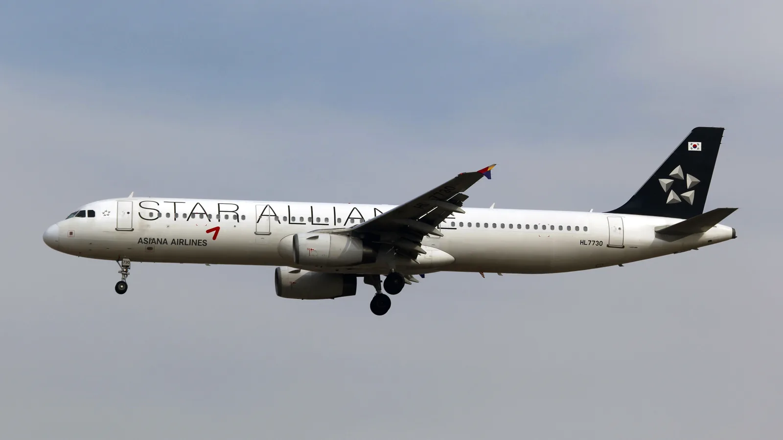 An Asiana Airlines Airbus A321 in full Star Alliance livery on approach to Incheon, Star Alliance titles along the fuselage and Asiana Airlines beneath the cockpit